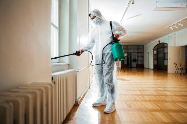 Professional Pest Control in Bath, PA